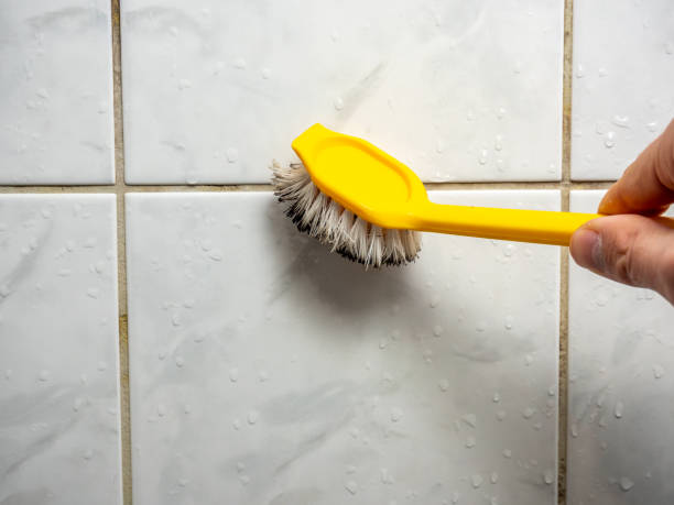 Professional Mold Removal in Fowler, CA