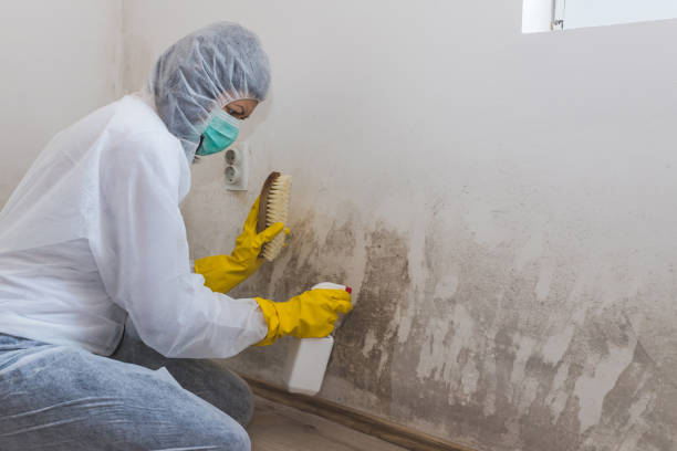 Crawl Space Mold Removal in Fowler, CA