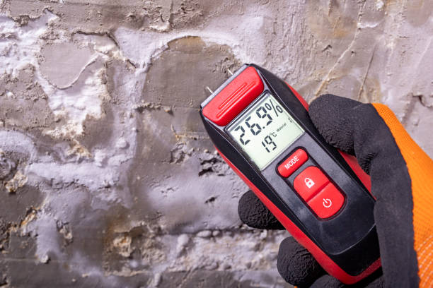 Best Water Damage Restoration  in Fowler, CA