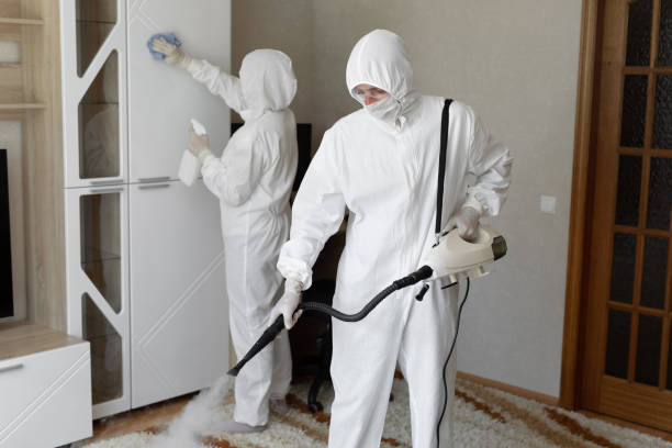 Mold Testing and Removal in Fowler, CA