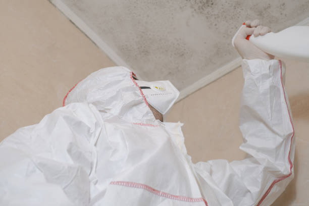 Best Commercial Mold Removal  in Fowler, CA