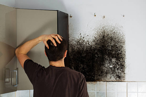 Best Attic Mold Removal  in Fowler, CA